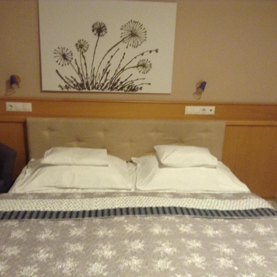 Hotel Zsida 赛特古特哈德 外观 照片